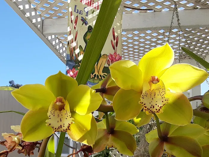 Bonita Paradise Mobile Home Pk Picture 7