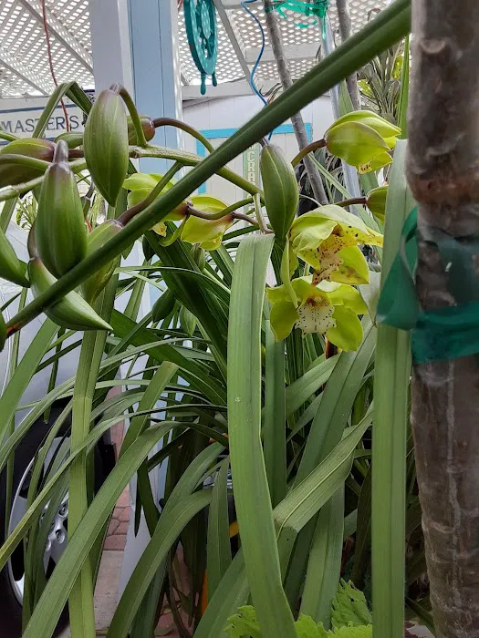 Bonita Paradise Mobile Home Pk Picture 5