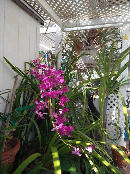 Bonita Paradise Mobile Home Pk Picture 9