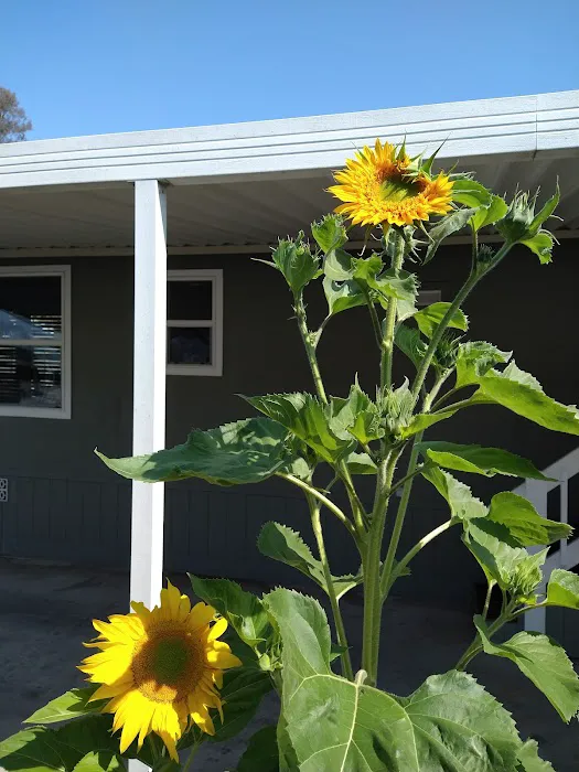 Bonita Paradise Mobile Home Pk Picture 6