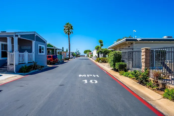 Bayscene Picture 4