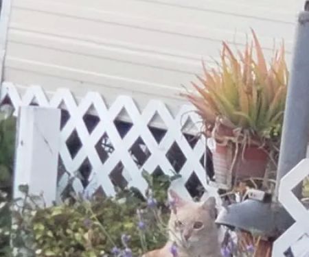 Fogerty Brothers Trailer Park