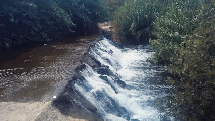 Villa Del Arroyo Picture 4