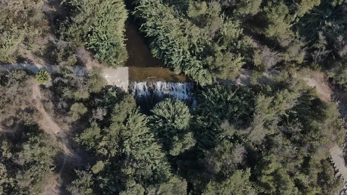 Villa Del Arroyo Picture 5