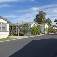 Lamplighter Camarillo ico