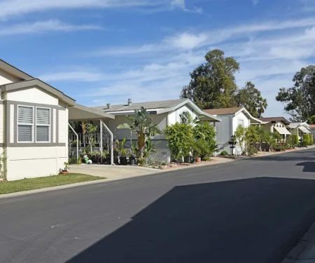 Lamplighter Camarillo