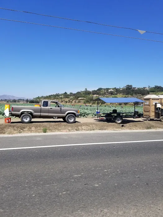 Casa Del Norte Mobile Home Community Picture 2
