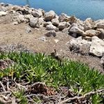 Country Squire Mobile Home Pk