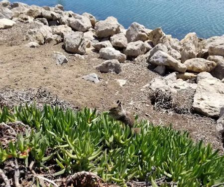 Country Squire Mobile Home Pk