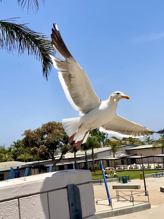 Ocean-Aire Mobile Home Estates Picture 1