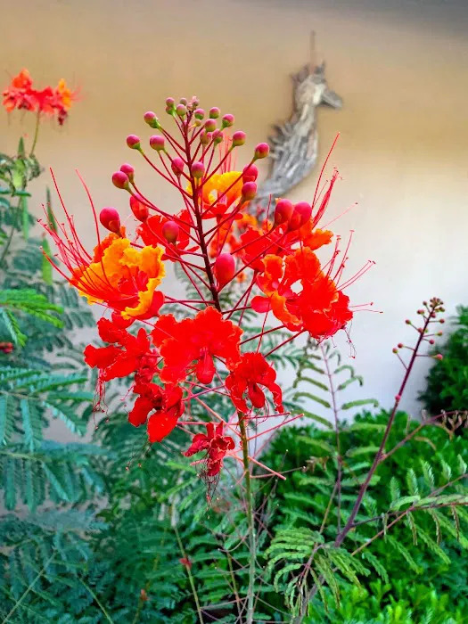 Placerita Canyon Mobile Home Picture 3