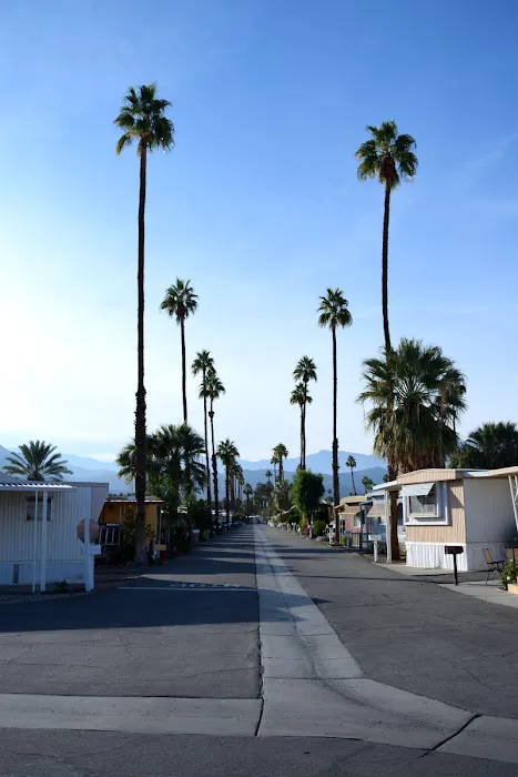 Palm Desert Mobile Estates LLC Picture 8