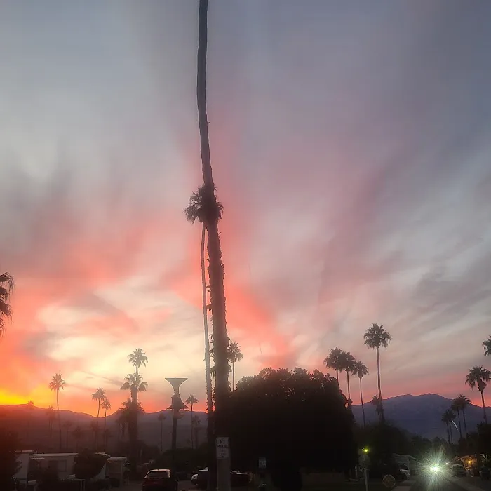 Palm Desert Mobile Estates LLC Picture 1