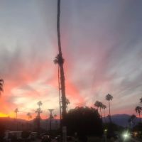 Palm Desert Mobile Estates LLC ico
