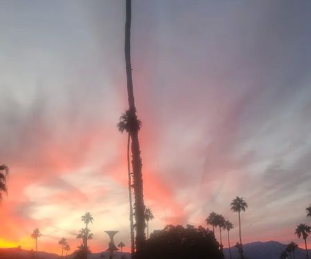 Palm Desert Mobile Estates LLC