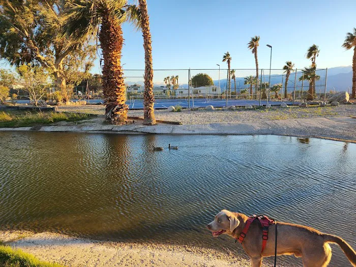 Catalina Spa RV Resort Picture 10