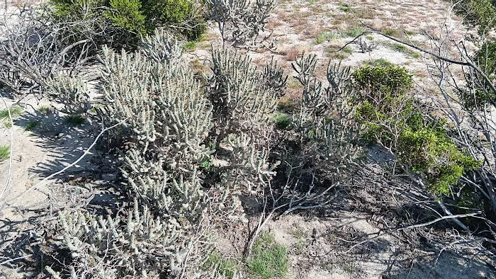 Joshua Springs Mobile Home Park Picture 9
