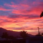 Joshua Springs Mobile Home Park