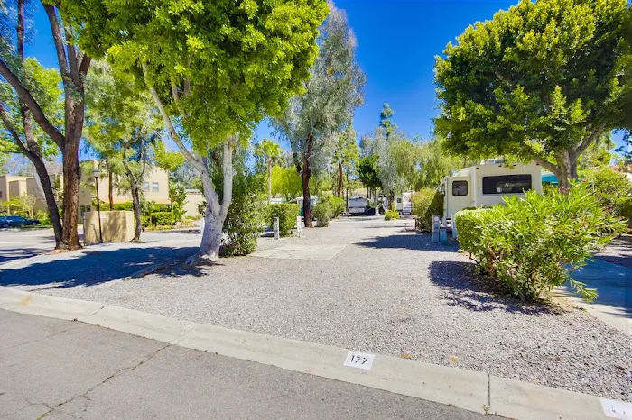 Circle RV Resort Picture 6