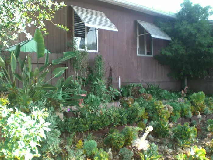 Pecan Community Picture 8