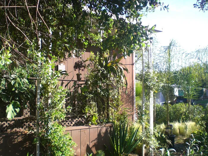 Pecan Community Picture 7
