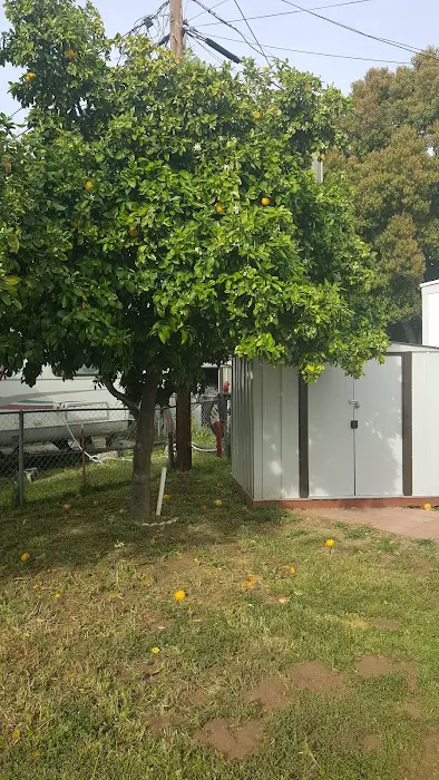 El Capitan Mobile Home Park Picture 7