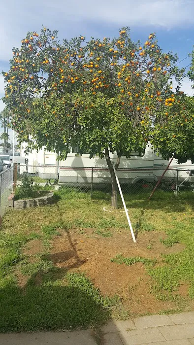 El Capitan Mobile Home Park Picture 10