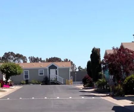 Mountain View Mobile Lodge