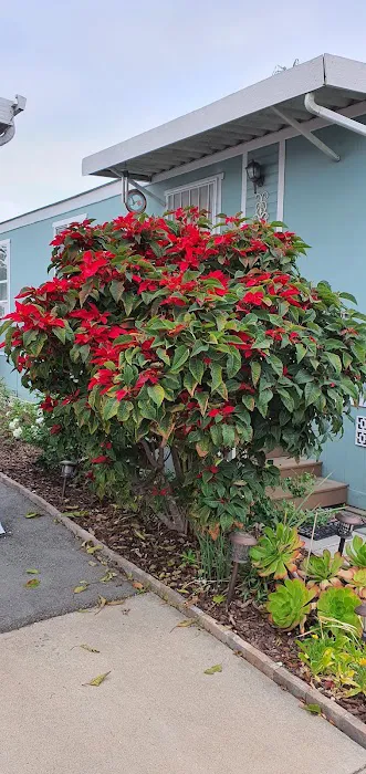 Mountain View Mobile Lodge Picture 6