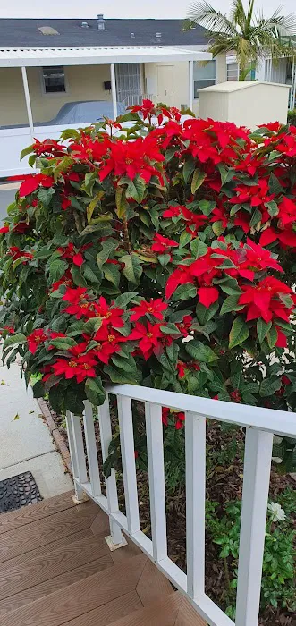 Mountain View Mobile Lodge Picture 5