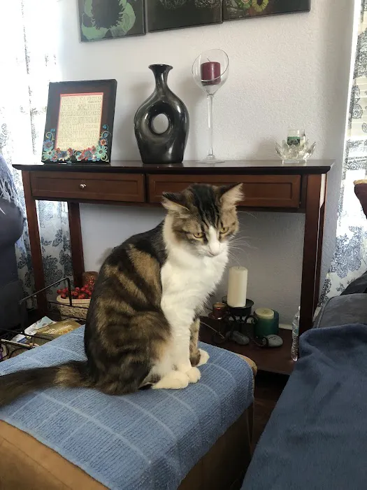 Mountain View Mobile Lodge Picture 9