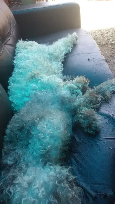 Georgeanna Mobile Home Park Picture 1