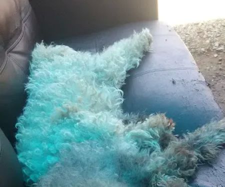 Georgeanna Mobile Home Park