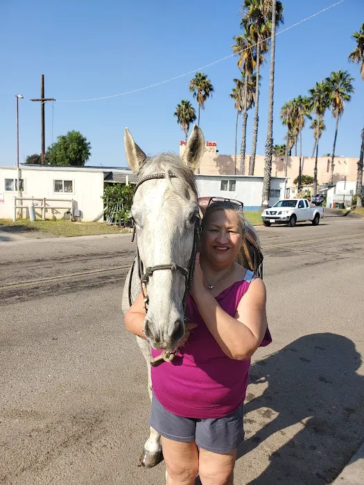 Georgeanna Mobile Home Park Picture 3