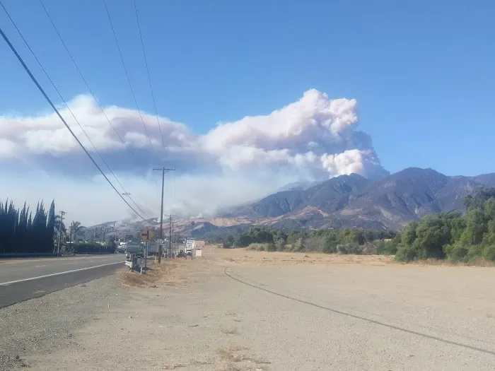 El Dorado Estates Picture 7