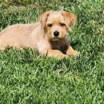 Valley Trailer Villa