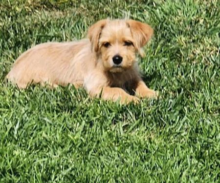 Valley Trailer Villa