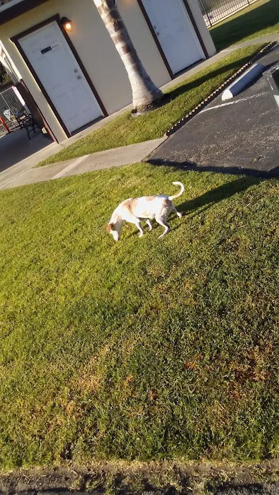 Sunny Acres Mobile Home Park Picture 9