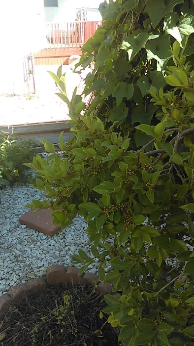 Sunny Acres Mobile Home Park Picture 7