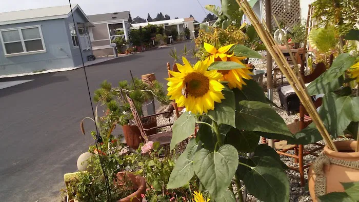 Sunny Acres Mobile Home Park Picture 5