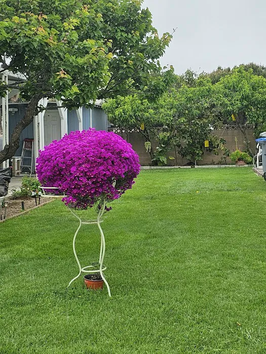 Kona Kai Mobile Estates Picture 2