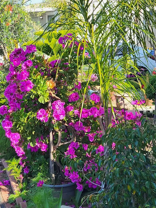 Royal Duke Mobile Estates Picture 7