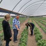 Anacapa Mobile Home Park