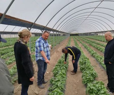 Anacapa Mobile Home Park