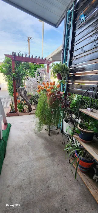 Anacapa Mobile Home Park Picture 2