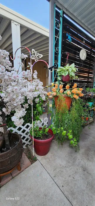 Anacapa Mobile Home Park Picture 9