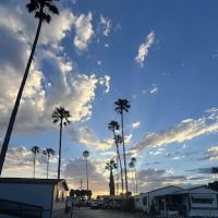 Royal Palms Mobile Home Park ico