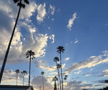Royal Palms Mobile Home Park