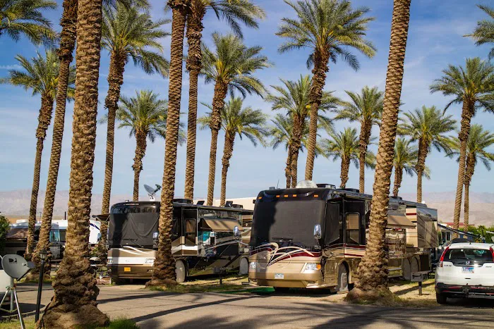 Thousand Trails Palm Springs Picture 8