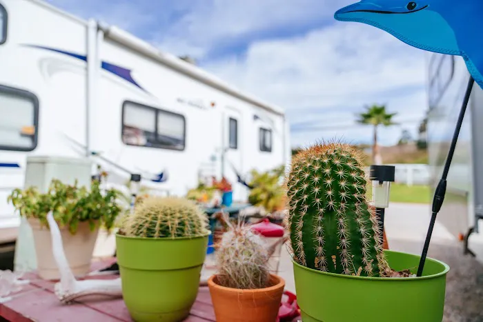 Oak Creek RV Resort Picture 8